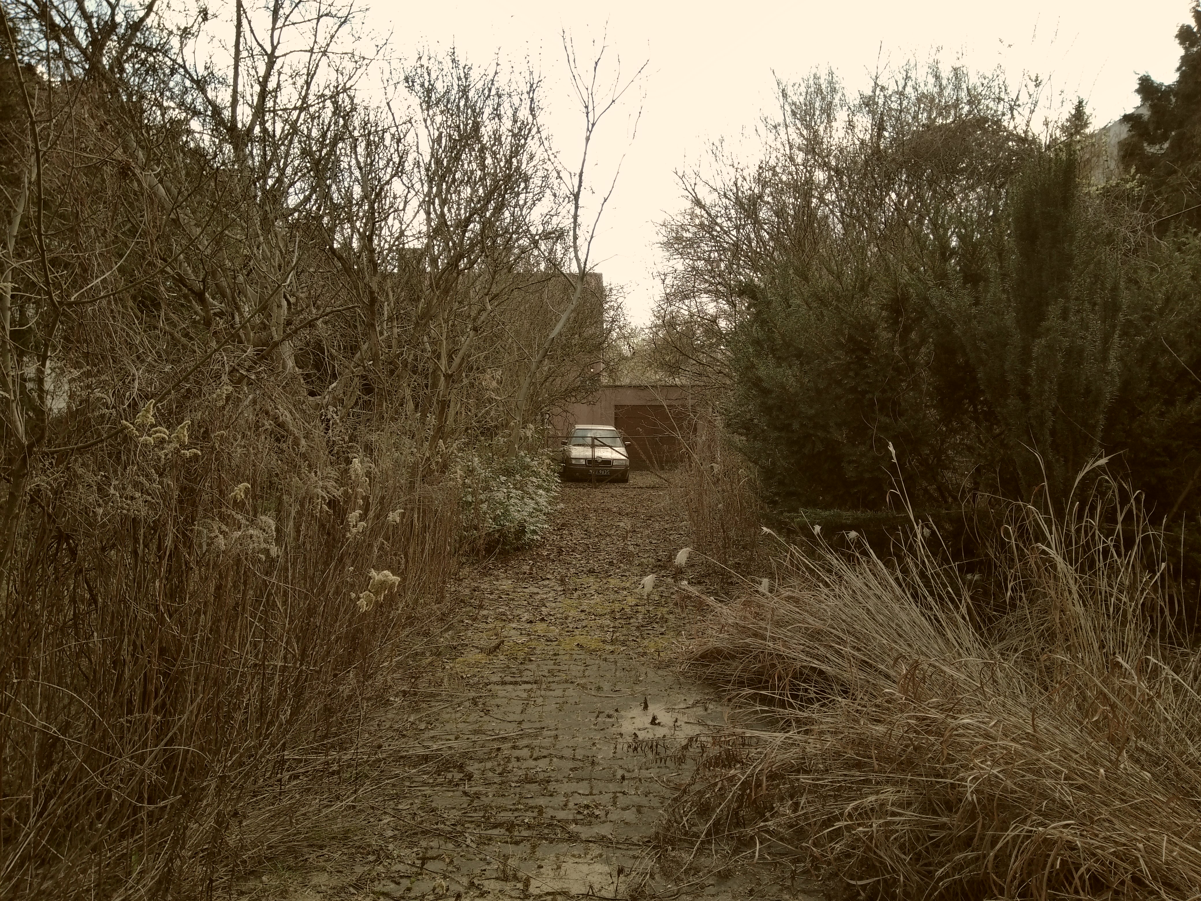 picture should be here