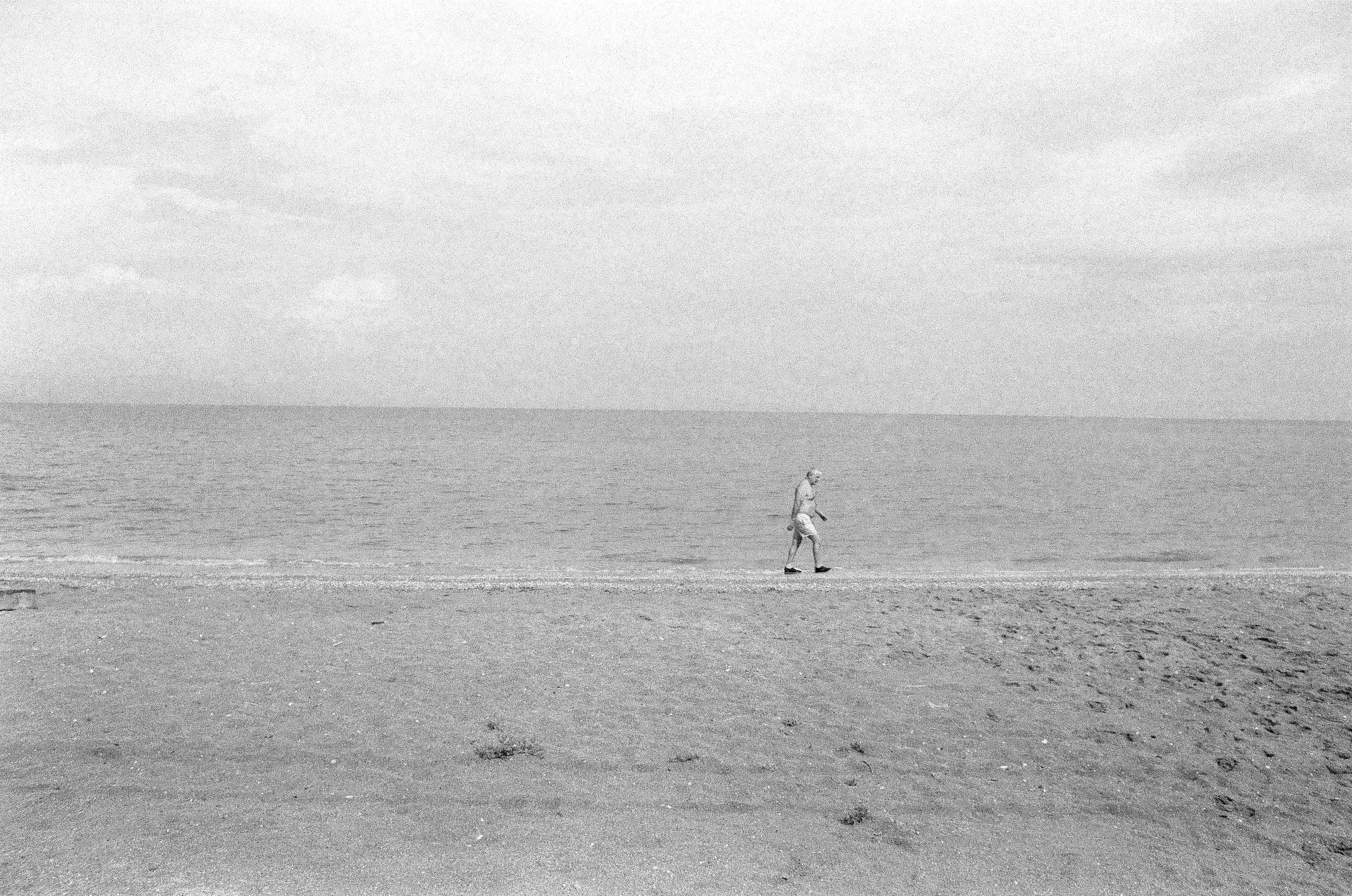 picture should be here